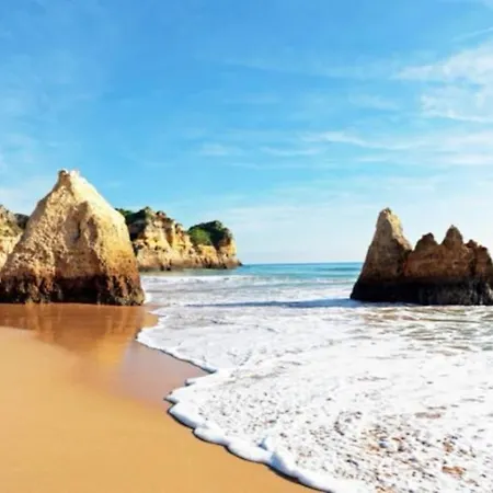 Encantador Com Piscina *